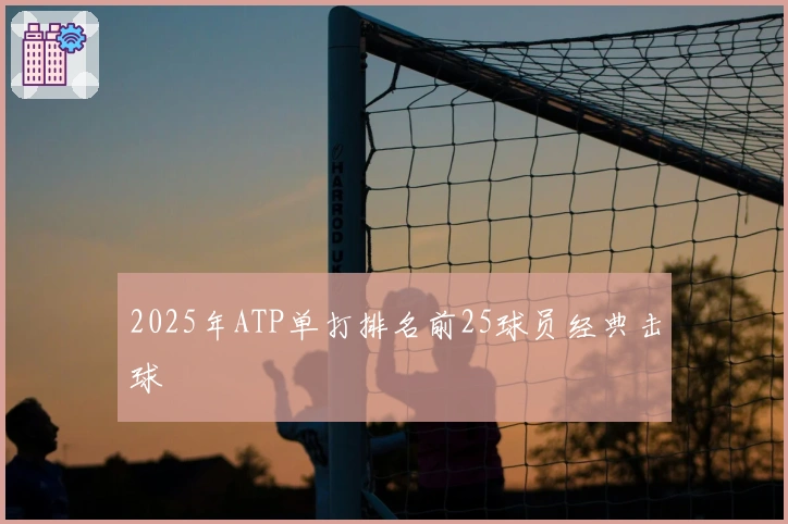 2025年ATP单打排名前25球员经典击球
